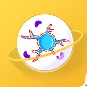 آموزش تشخیص سلول سرطانی در تصاویر پزشکی در متلب